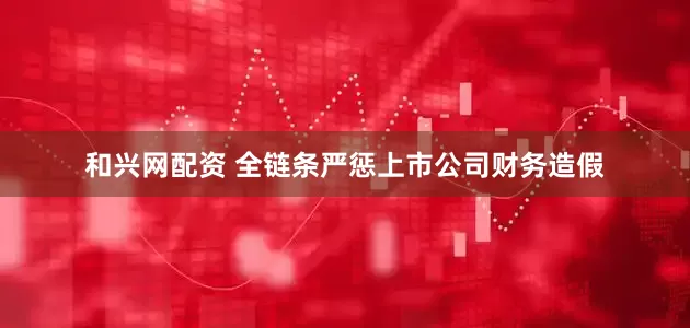 和兴网配资 全链条严惩上市公司财务造假