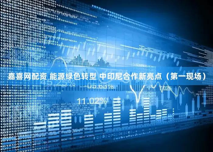 嘉喜网配资 能源绿色转型 中印尼合作新亮点（第一现场）