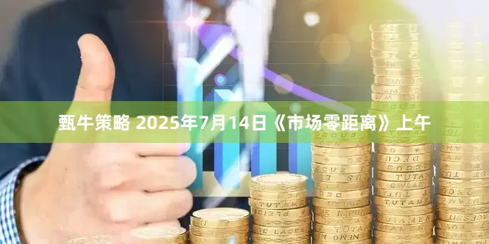 甄牛策略 2025年7月14日《市场零距离》上午