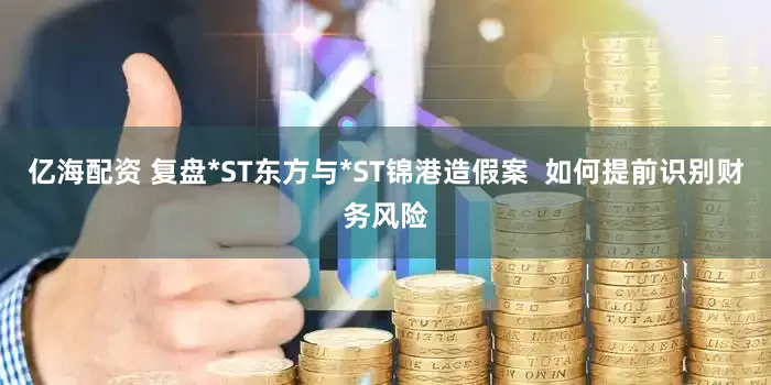 亿海配资 复盘*ST东方与*ST锦港造假案  如何提前识别财务风险