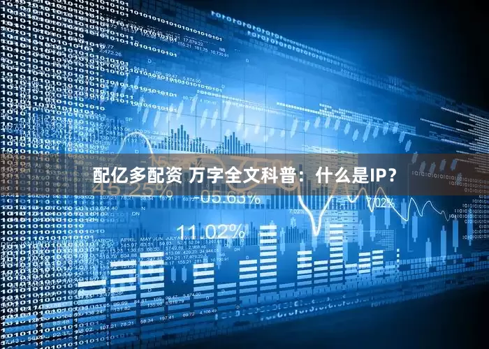 配亿多配资 万字全文科普：什么是IP？